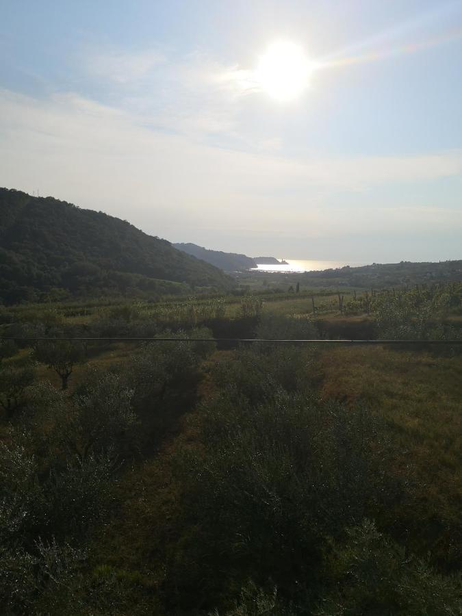 Saleto Apartma Jagodje Екстер'єр фото