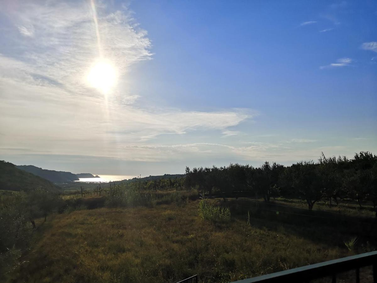 Saleto Apartma Jagodje Екстер'єр фото